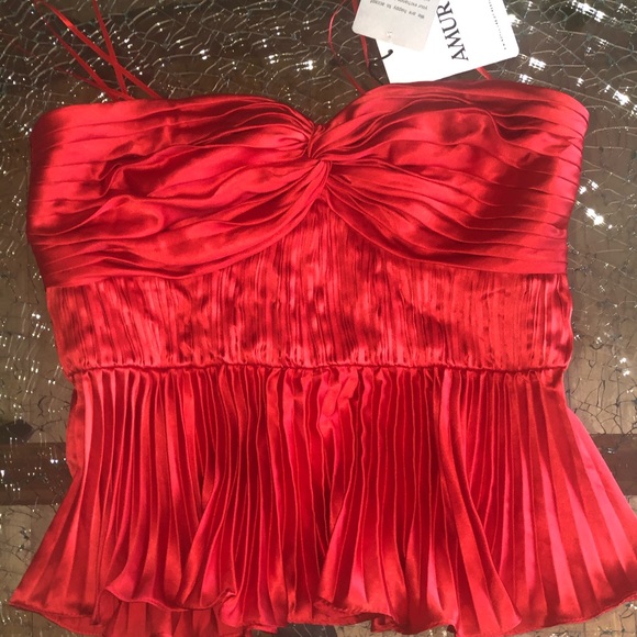 AMUR CASH BUSTIER - Picture 3 of 3